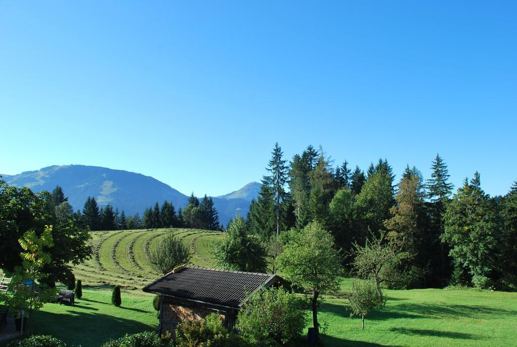 Berggasthof Baernstatt Scheffau am Wilden Kaiser Kültér fotó